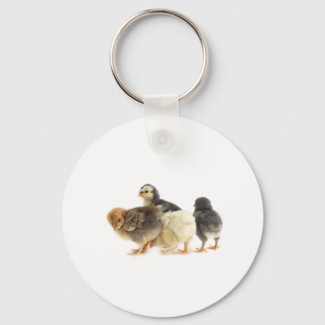 cute fluffy chicks keychain (Front)
