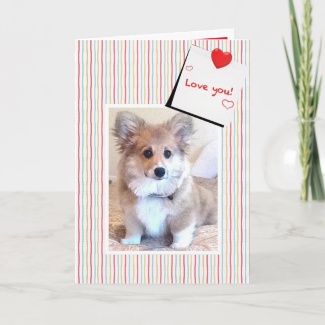 Cute Fluffy Corgi Valentine Holiday Card (Front)
