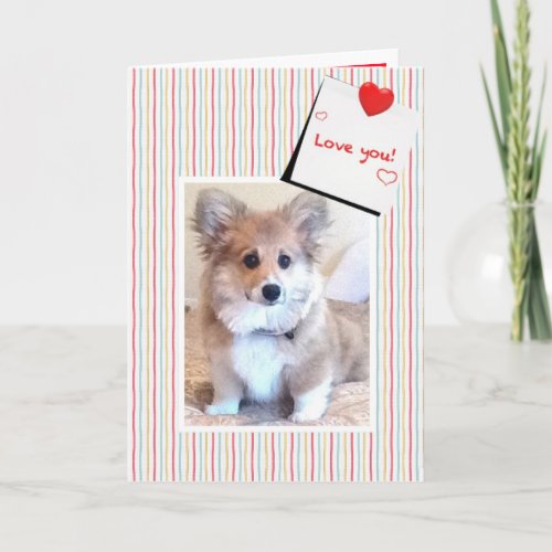 Cute Fluffy Corgi Valentine Holiday Card