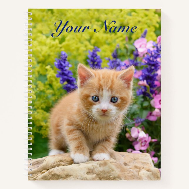 Cute Fluffy Ginger Baby Cat Kitten Flowers - Name Notebook (Front)