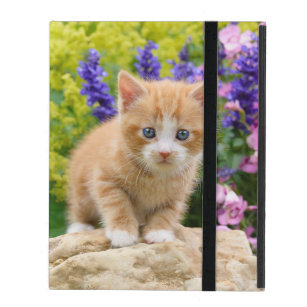 tiger electronics cat