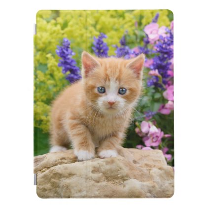 Cute Fluffy Ginger Baby Cat Kitten in Flowers // iPad Pro Cover