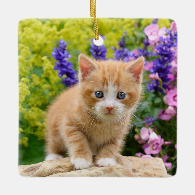 Cute Fluffy Ginger Baby Cat Kitten in Flowers Pet Ceramic Ornament (Front)