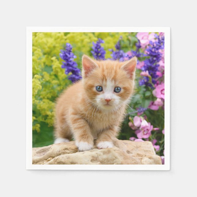 Cute Fluffy Ginger Baby Cat Kitten in Flowers Pet Napkins (Front)