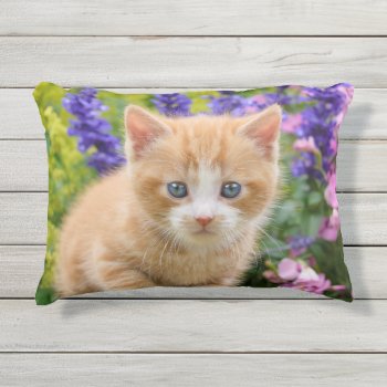 Cute Fluffy Ginger Baby Cat Kitten In Flowers Pet Outdoor Pillow by Kathom_Photo at Zazzle