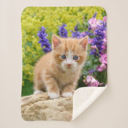 Cute Fluffy Ginger Baby Cat Kitten in Flowers Pet Sherpa Blanket