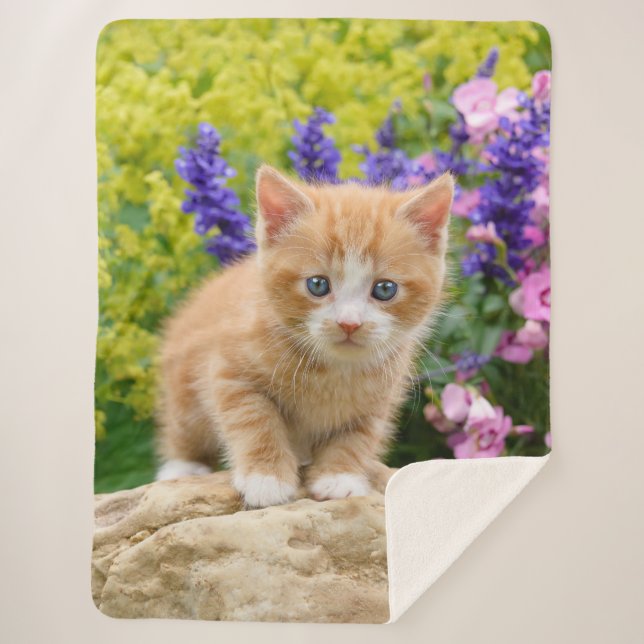 Cute Fluffy Ginger Baby Cat Kitten in Flowers Pet Sherpa Blanket (Front)