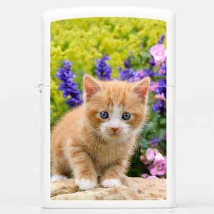 Pet Cat Zippo Lighters & Matchboxes | Zazzle