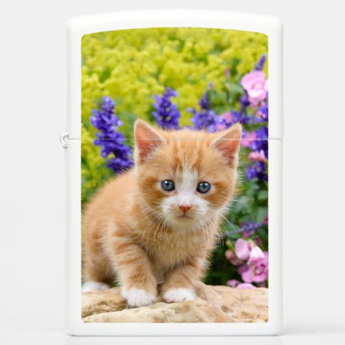 Cute Fluffy Ginger Baby Cat Kitten in Flowers Pet Zippo Lighter