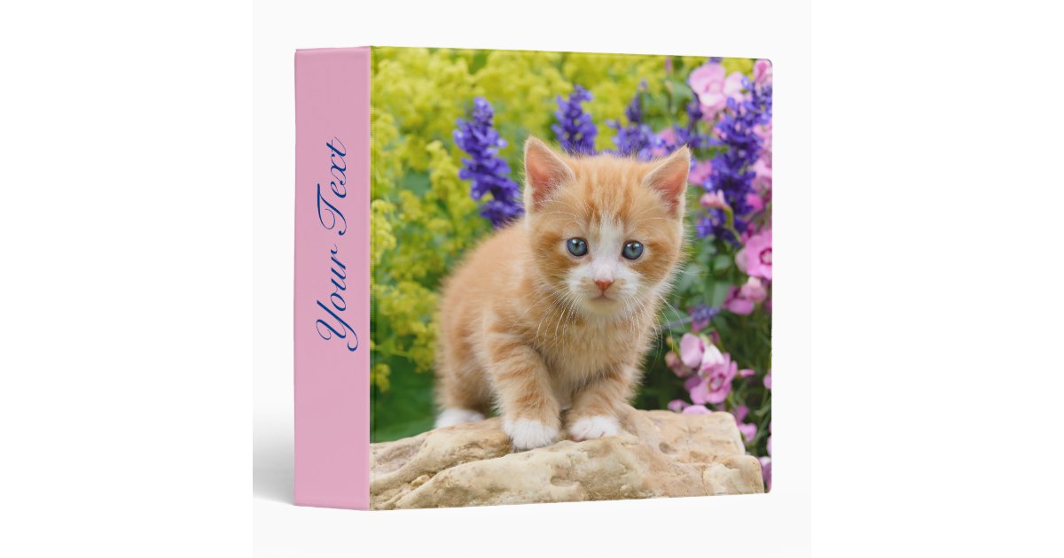 dj cat - space cat - cat pizza - cute cats 3 ring binder, Zazzle