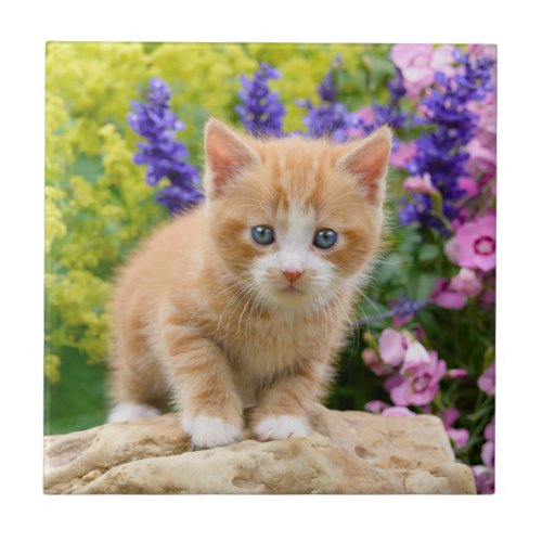 Cute Fluffy Ginger Cat Kitten in Flowers Pet Photo Tile