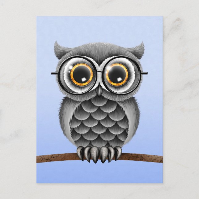 Cute Fluffy Gray Owl with Glasses, Light Blue Postcard (Front)