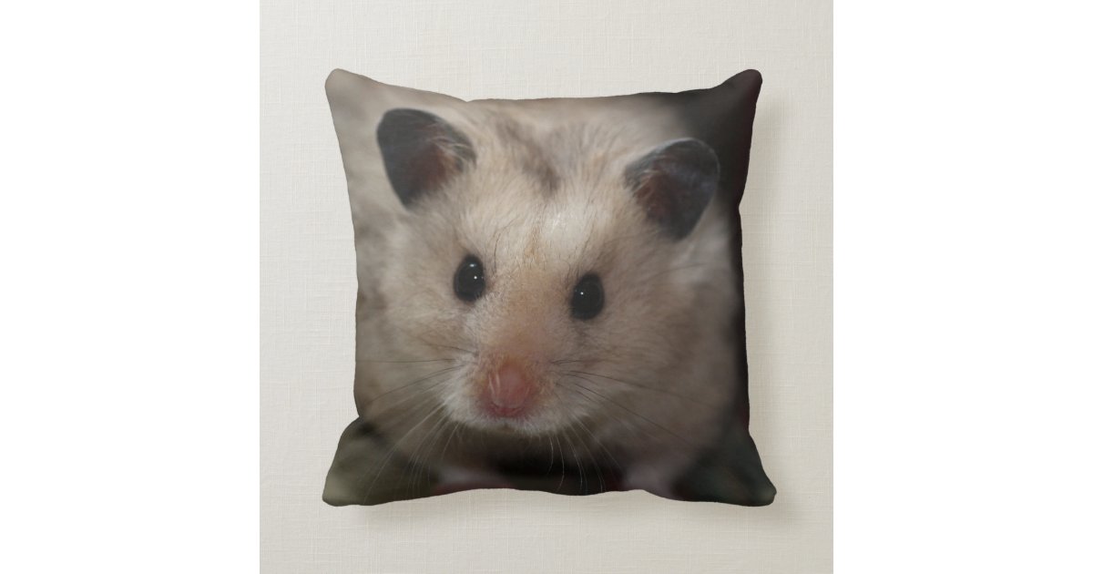 hamster pillow pet