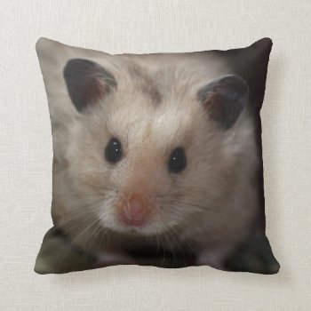 Cute Fluffy Hamster Throw Pillow by Rosemariesw at Zazzle