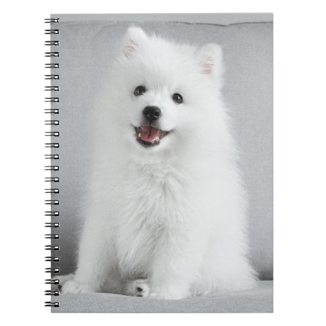 Cute Fluffy Japanese Spitz Puppy Notebook (Front)