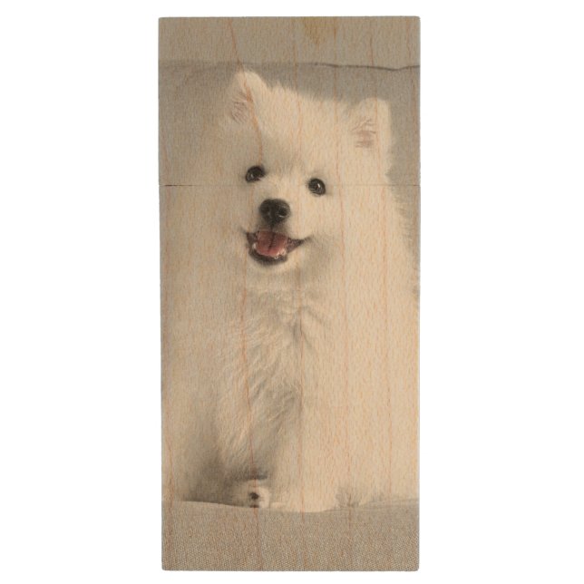 Cute Fluffy Japanese Spitz Puppy Wood Flash Drive (Front Vertical)