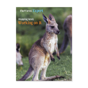 Cute fluffy joey Kangaroo Holiday Postcard