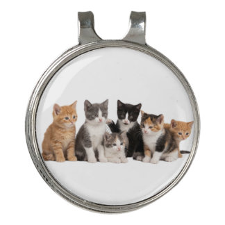 Cute Fluffy Kittens Group Transparent PNG Sticker Golf Hat Clip