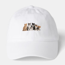Cute Fluffy Kittens Group Transparent PNG Sticker