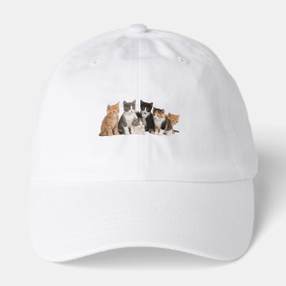 Cute Fluffy Kittens Group Transparent PNG Sticker Hat