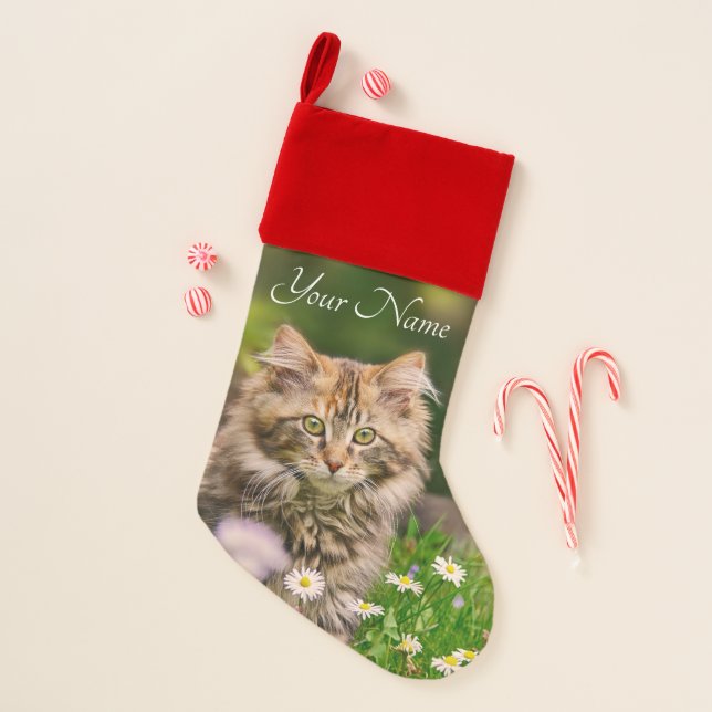 Cute Fluffy Maine Coon Kitten Cat Flowers - Name - Christmas Stocking (Front)