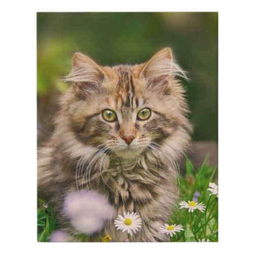 Cute Fluffy Maine Coon Kitten Cat in Flowers Photo Faux Canvas Print