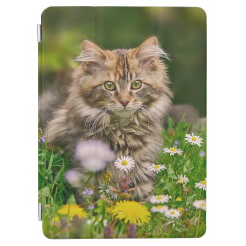 Cute Fluffy Maine Coon Kitten Cat in Flowers Photo iPad Air Cover