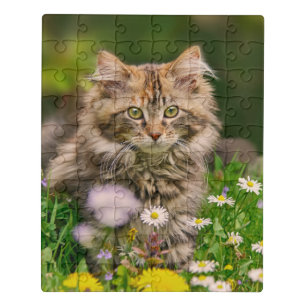 Cute Fluffy Maine Coon Kitten Cat in Flowers Photo Jigsaw Puzzle