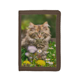 Cute Fluffy Maine Coon Kitten Cat in Flowers Photo Tri-fold Wallet