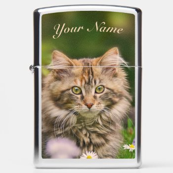 Cute Fluffy Maine Coon Kitten Cat Photo - Name Zippo Lighter by Kathom_Photo at Zazzle