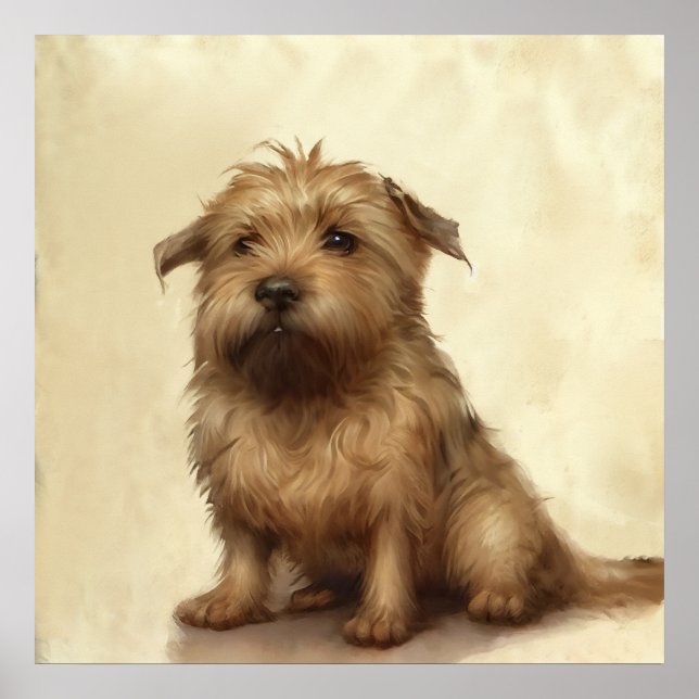 Cute Fluffy Norfolk Terrier Art Poster (Front)