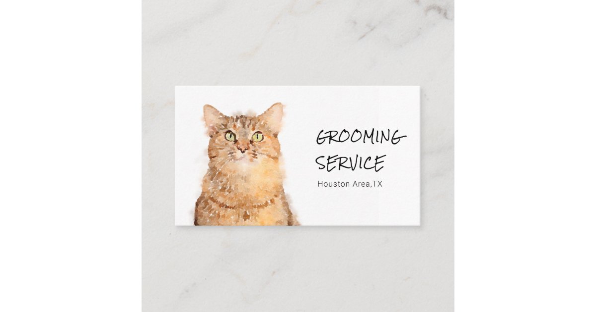 Visual Reference: Cute Fluffy Orange Cat Grooming Business Card