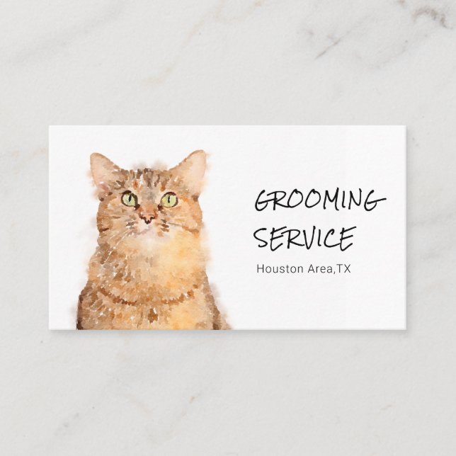 Cute Fluffy Orange Cat Grooming Business Card (Front)