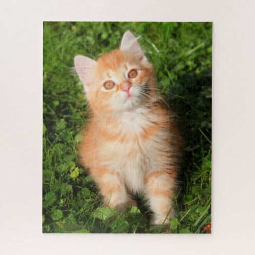 Cute Fluffy Orange Tabby Cat Kitten Jigsaw Puzzle