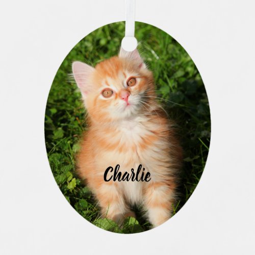 Cute Fluffy Orange Tabby Cat Kitten Metal Ornament