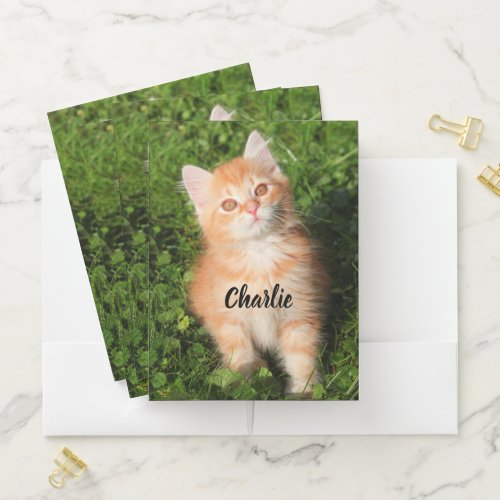Cute Fluffy Orange Tabby Cat Kitten Pocket Folder