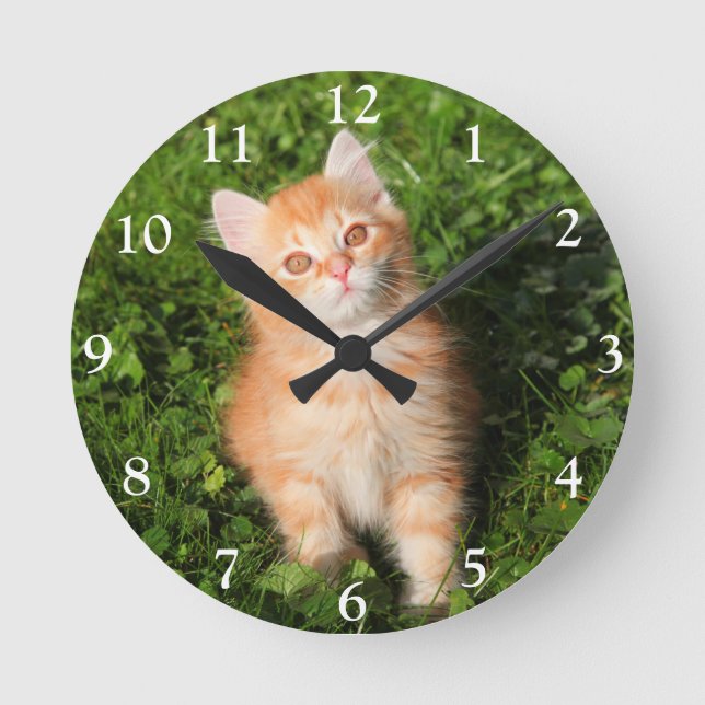 Cute Fluffy Orange Tabby Cat Kitten Round Clock (Front)