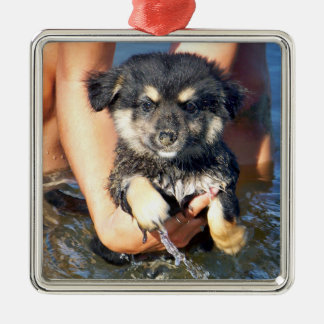 Cute Fluffy Puppy Dog Photograph Metal Ornament