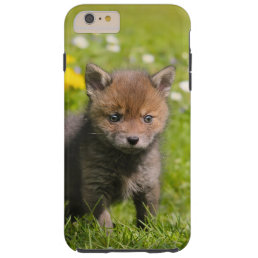 Cute Fluffy Red Fox Cub Baby Animal Cell Phonecase Tough iPhone 6 Plus Case