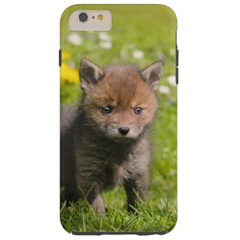 Cute Fluffy Red Fox Cub Baby Animal Cell Phonecase Tough Iphone 6 Plus Case by Kathom_Photo at Zazzle