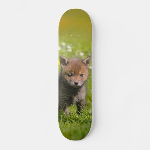 Cute Fluffy Red Fox Cub Wild Baby Animal Photo _ Skateboard Deck