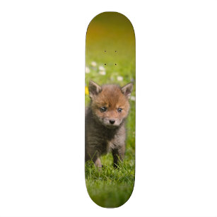 Cute Fluffy Red Fox Cub Wild Baby Animal Photo - Skateboard Deck