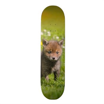 Cute Fluffy Red Fox Cub Wild Baby Animal Photo - Skateboard Deck by Kathom_Photo at Zazzle