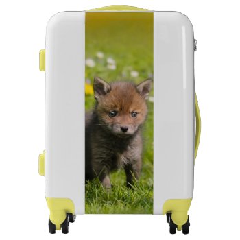 Cute Fluffy Red Fox Cub Wild Baby Animal  Suitcase by Kathom_Photo at Zazzle