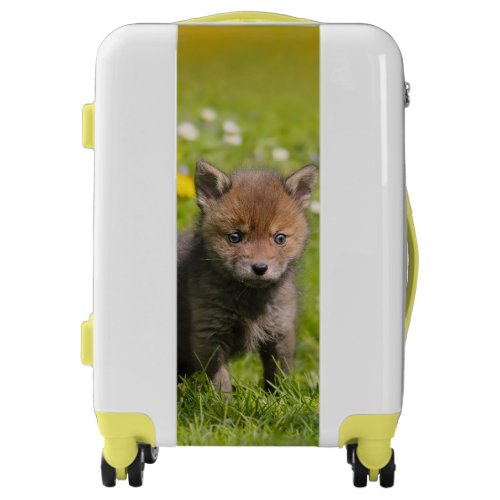 Cute Fluffy Red Fox Cub Wild Baby Animal  Suitcase