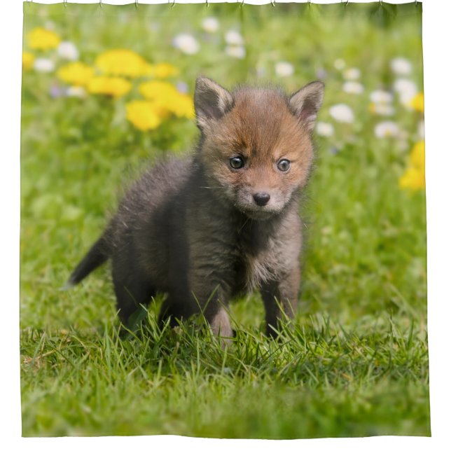 Cute Fluffy Red Fox Cub Wild Baby Animal, Tub Shower Curtain (Front)