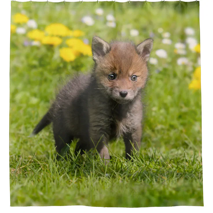 Cute Fluffy Red Fox Cub Wild Baby Animal Tub Shower Curtain Zazzle