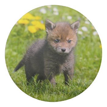 Cute Fluffy Red Fox Kit Cub Wild Baby Animal Photo Eraser by Kathom_Photo at Zazzle