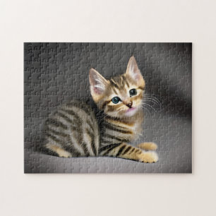 Cute fluffy tabby cat baby jigsaw puzzle