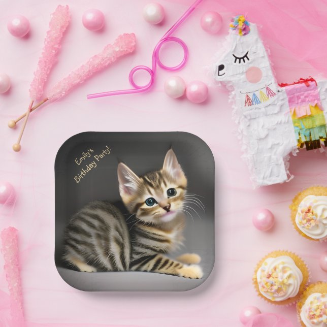 Cute fluffy tabby cat baby   paper plates (Party)